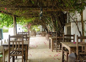 tanzania/stone-town/mizingani-seafront/restaurant/new-monsoon-restaurant