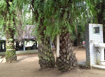 cote-d-ivoire/mount-nimba-strict-nature-reserve/restaurant/restaurant-hotel-espace-moye