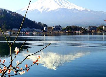 japan/koshi/restaurant/mt-fuji-panoramic-ropeway