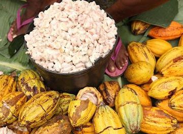 Claudio Corallo - Cacao & Caffe São Tomé e Príncipe