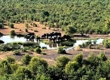 zambia/bangweulu-wetlands/restaurant/makuwa-kuwa-restaurant