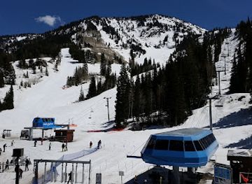 utah/snowbird-ski-resort/restaurant/creekside-cafe-grill