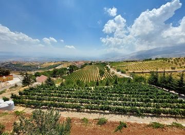 lebanon/mount-lebanon/restaurant/chateau-khoury
