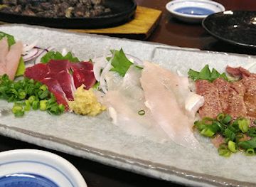 japan/hyuga/restaurant/torishogun