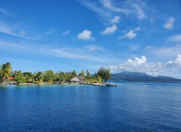french-polynesia/society-islands/restaurant/le-ficus