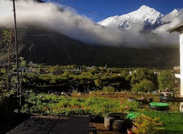 nepal/mustang/restaurant/bagaincha-cafe-and-garden-restaurant