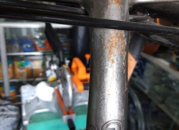 guatemala/northern-lowlands/restaurant/comer-el-eden