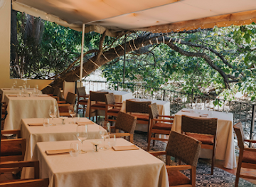 mexico/puerto-vallarta/restaurant/tintoque