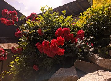 india/manali/vashisht/restaurant/guru-vashisht-food-plaza