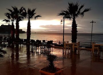 turkiye/kusadasi/kusadasi-city-center/restaurant/palm-beach-cafe-restaurant-bar