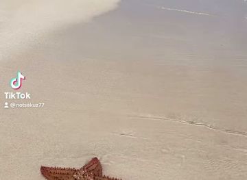 honduras/cayos-cochinos/restaurant/carigue