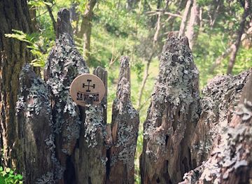 south-dakota/spearfish-canyon/restaurant/sawyer-brewing-co