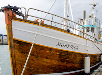 iceland/husavik/restaurant/friends-of-moby-dick-whale-watching