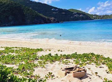 british-virgin-islands/guana-island/restaurant/serves-up-bvi-ltd