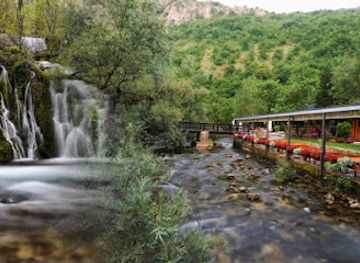 bosnia-and-herzegovina/sutjeska-national-park/restaurant/borak