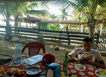 mexico/costa-grande/restaurant/el-palmar