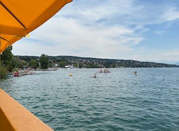 switzerland/lake-geneva-region/restaurant/lake-house