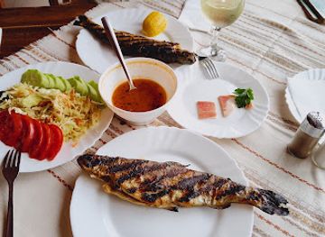 bulgaria/pirin-macedonia/restaurant/restaurant-iazovir-krinetz
