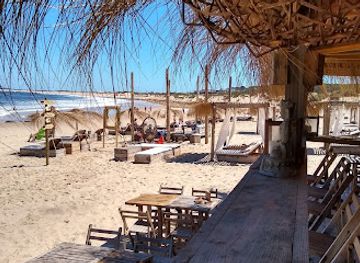 uruguay/jose-ignacio/restaurant/la-choza-de-mar