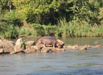 malawi/majete-wildlife-reserve/restaurant/majete-wildlife-reserve-and-african-parks-head-quarters