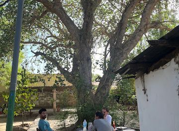 the-gambia/baboon-island/restaurant/bendula-bar