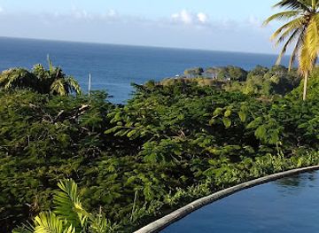 trinidad-and-tobago/toco-lighthouse/restaurant/the-pavilion-restaurant-by-cup-of-joe