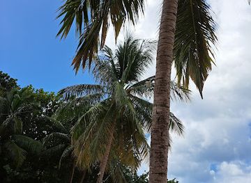 grenada/morne-rouge-beach/restaurant/savvy-cabana