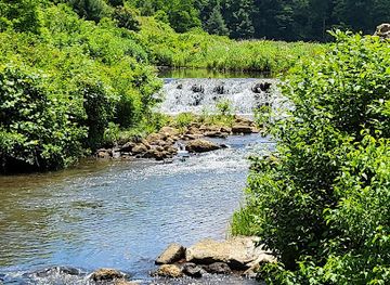 virginia/blue-ridge-parkway/restaurant/longfin-grill