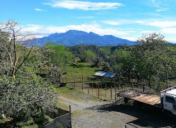 panama/volcan/restaurant/restaurante-casa-clud-bella-vista-camaron