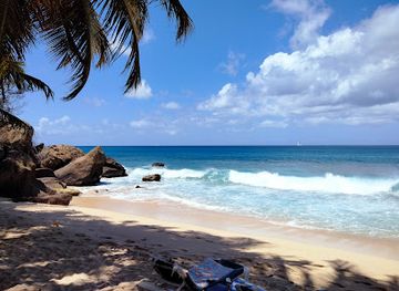 grenada/bbc-beach/restaurant/aquarium