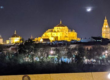 spain/cordoba/restaurant/bar-la-bicicleta