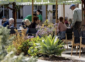california/la-jolla/restaurant/the-kitchen-mcasd