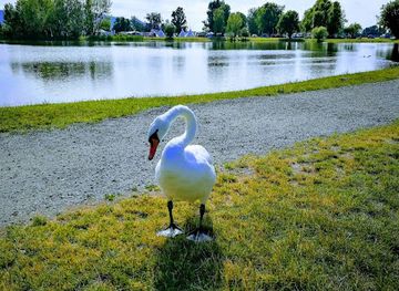 croatia/medimurje/restaurant/medimurje-gastro-d-d