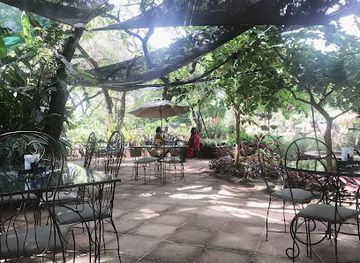 malawi/mulanje-mountain/restaurant/ama-khofi