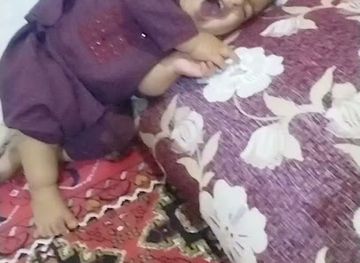 afghanistan/laghman/restaurant/melma-restaurant