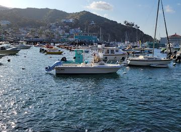 california/santa-catalina-island/restaurant/ndmk-fish-house