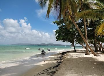 trinidad-and-tobago/buccoo-reef/restaurant/sharon-s