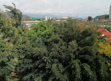 ethiopia/arbaminch/restaurant/romi-hotel