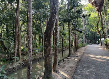 bangladesh/lawachara-national-park/restaurant/china-kitchen