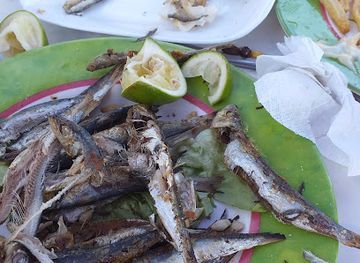 algeria/bejaia/restaurant/la-peche-du-jour