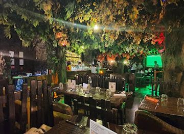 india/pune/restaurant/rainforest-resto-bar