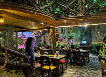 Jungle Safari