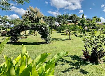 honduras/aguan-valley/restaurant/la-tizaneria