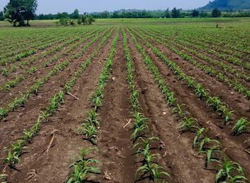 cambodia/preah-vihear-province/restaurant/batdombong