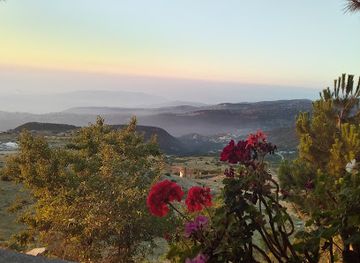 lebanon/horsh-ehden/restaurant/moonlight
