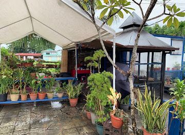 palau/airai/restaurant/best-bbq-local-in-palau