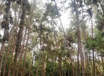 brunei/bukit-shahbandar-recreational-park/restaurant/bukit-shahbandar-gerai-park