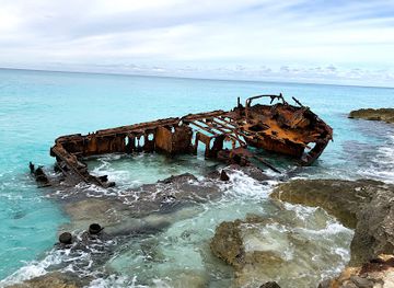 the-bahamas/bimini-islands/restaurant/sherry-s-place