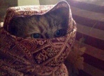 saudi-arabia/tabuk/restaurant/hala-hotel