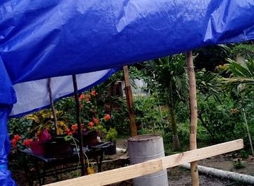 jamaica/port-maria/restaurant/slice-of-eden